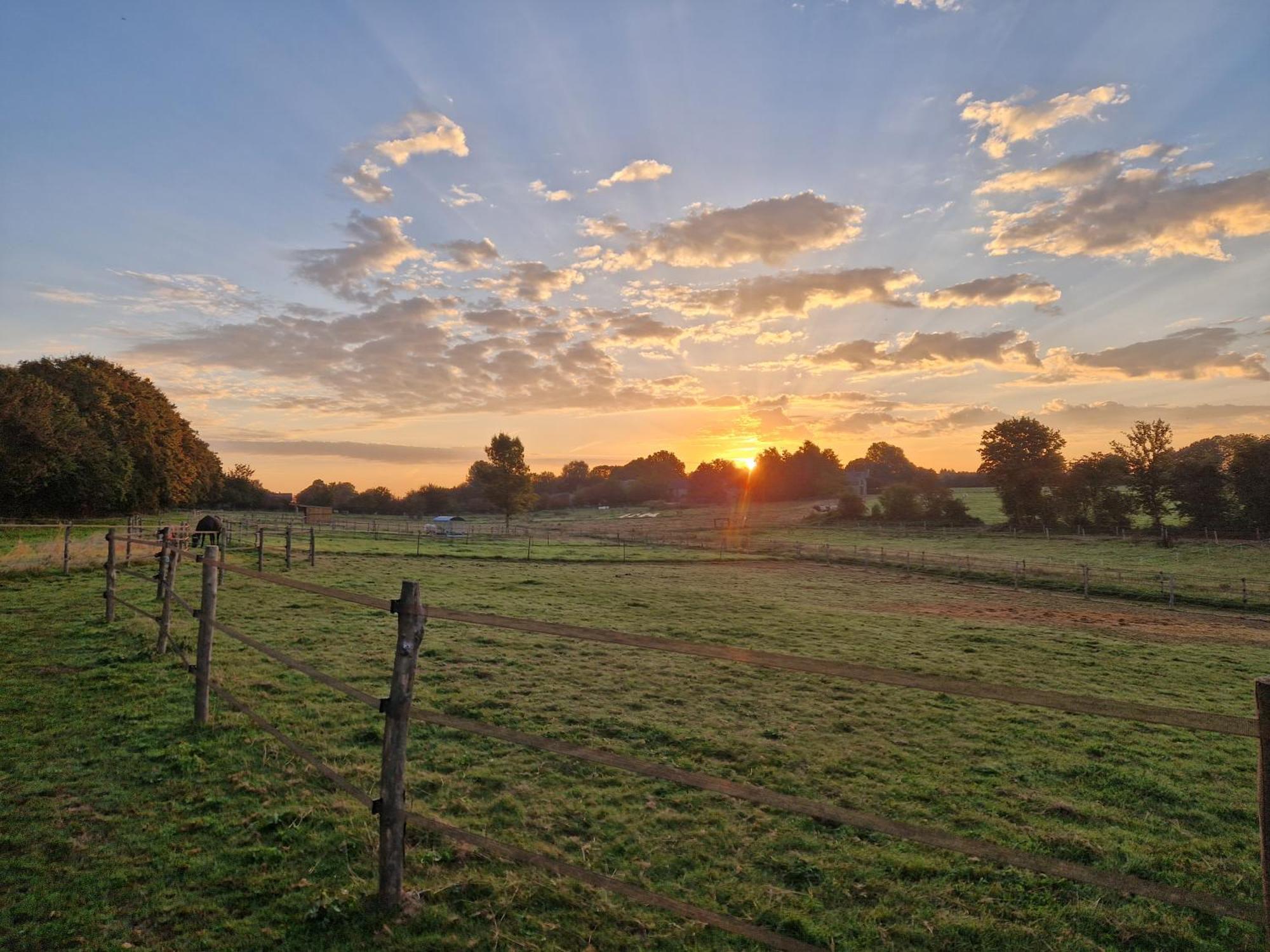 Habitat Bed and Breakfast Momignies Buitenkant foto