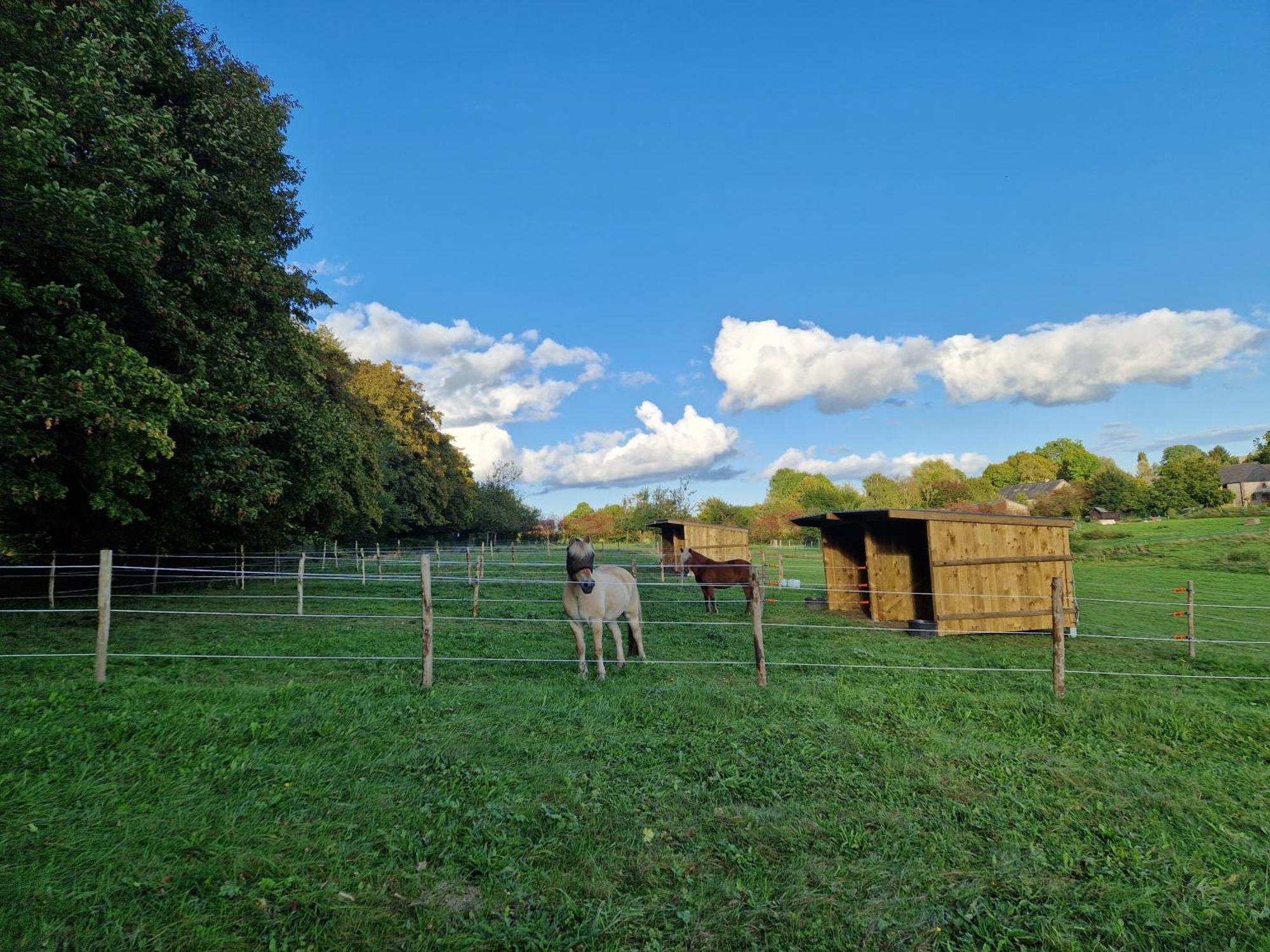Habitat Bed and Breakfast Momignies Buitenkant foto